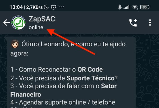 desconectado whatsapp